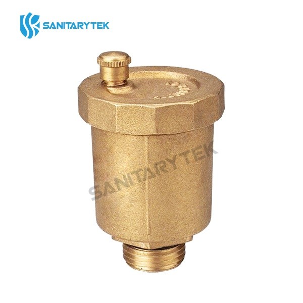 Automatic air vent valve with shut off valve