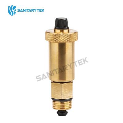 Automatic air vent with check valve