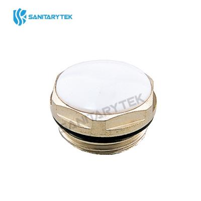 Radiator blanking bleed plug with o-ring