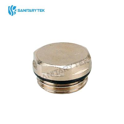 Radiator blanking bleed plug
