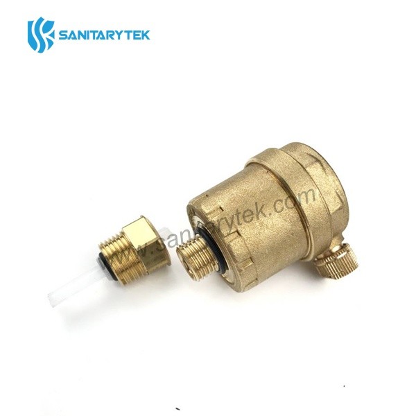 Automatic air vent valve with check valve