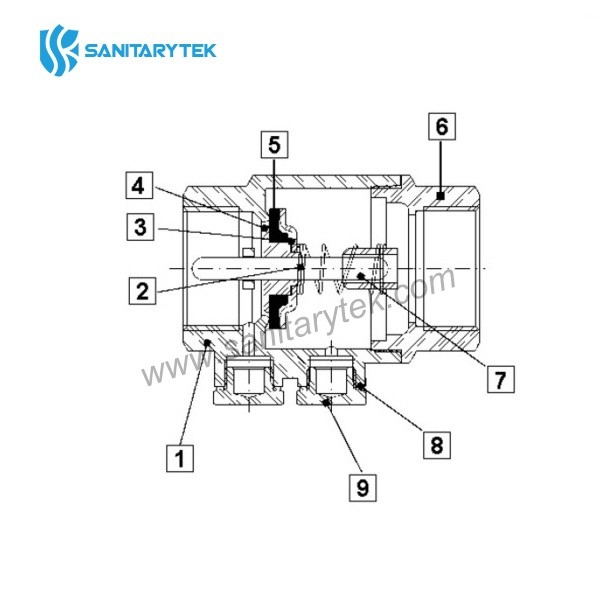 Brass check valve with double purge