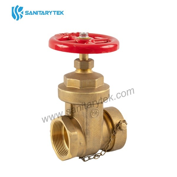 Brass forged hose gate valve 2 1/2 with cap and chain 