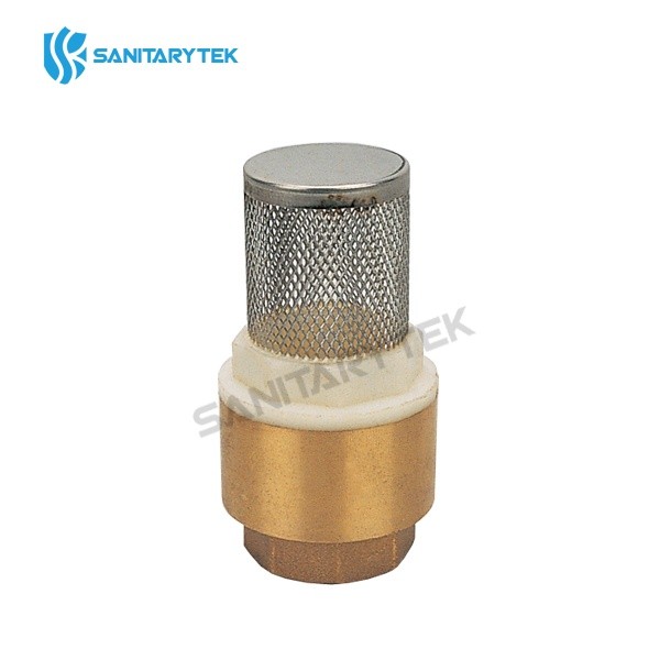 Brass spring check valve with S.S. filter