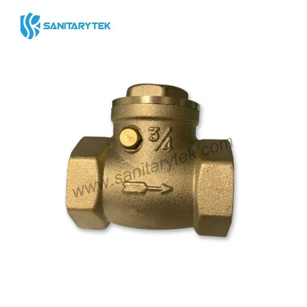 Brass swing check valve