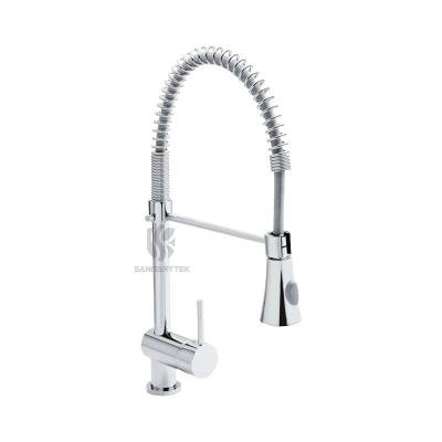 Kitchen faucet with pull-out spout